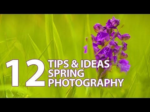 Video: How to Enjoy Spring: 12 Steps (with Pictures)