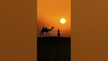 ﴿ أَفَلَا يَنظُرُونَ إِلَى الْإِبِلِ كَيْفَ خُلِقَتْ ۝ ﴾|القارئ عبد الرحمن مسعد|سورة الغاشية