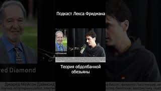 Теория обдолбанной обезьяны. Лекс Фридман - Брайан Мируреску #shorts