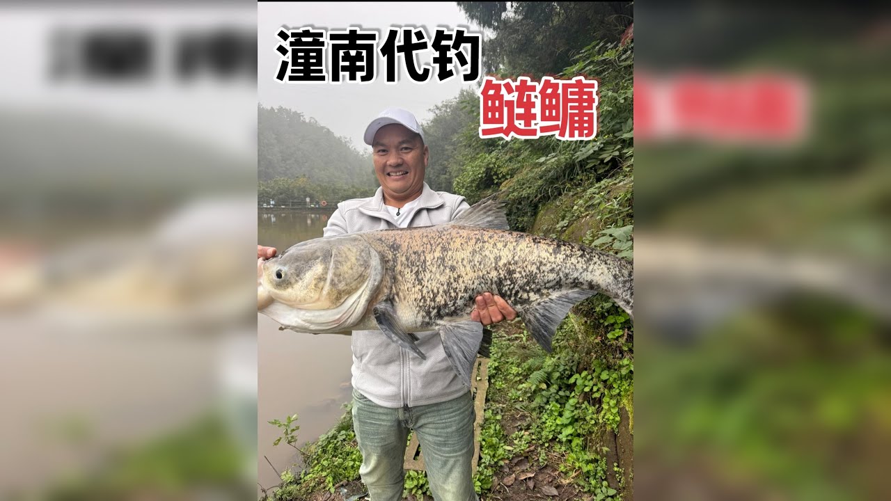 冬季底钓鲢鳙，代钓依然成功