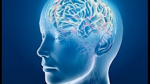 Introduction To Informal Logic (logical fallacies)