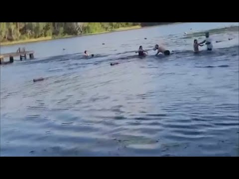 Video shows Texas Girl Scouts run from 14-foot alligator on camping trip