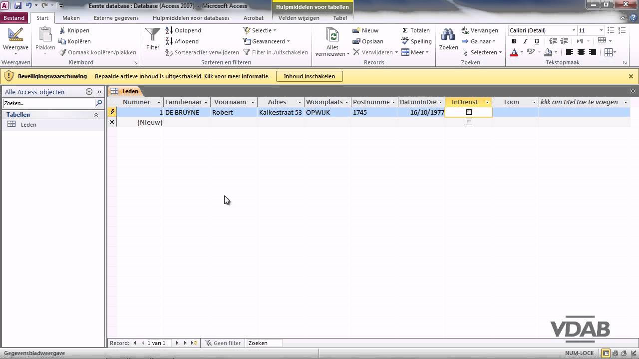 Update Access 2010 - 09 Gegevens invoeren