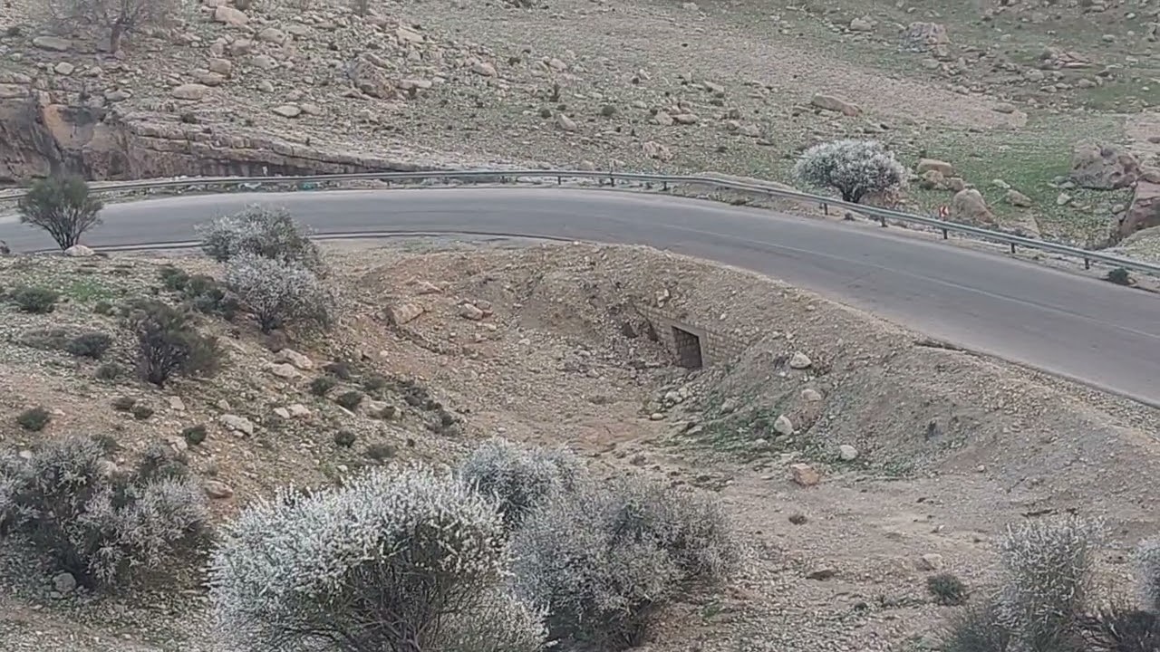 ۱۵ فوریهٔ ۲۰۲۶