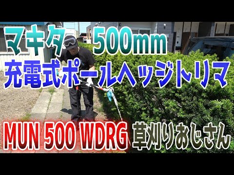 【マキタ】【充電式ポールヘッジトリマーで草刈り】【MUN 500