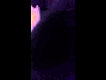 ٢١ مارس ٢٠١٦ 