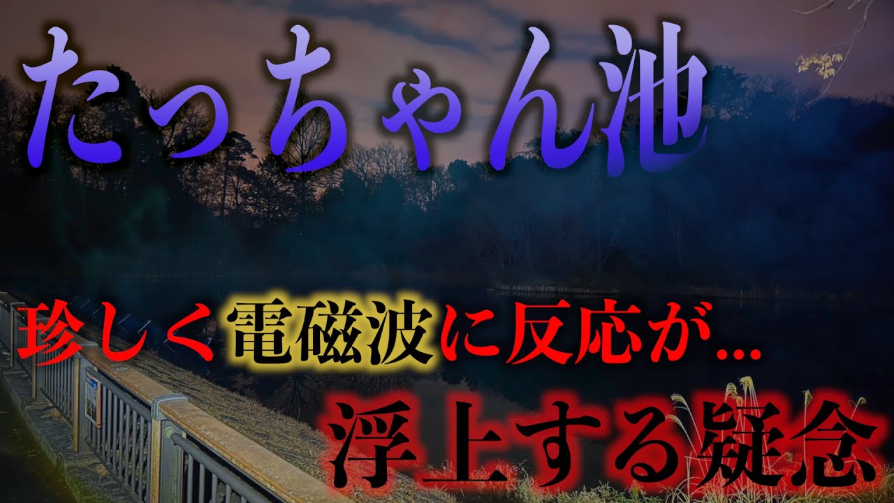 【探索編】本当に霊障は「たっちゃん池」だけなのだろうか【心霊】