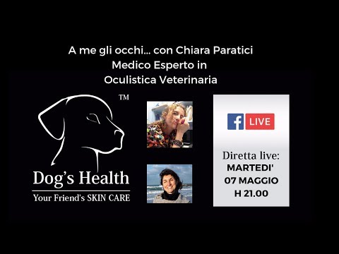 Come gestire gli occhi del cane?