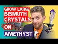 Diy bismuth to the next level  growing bismuth crystals on amethyst