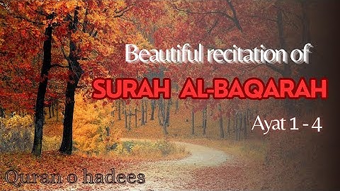 |Surah Al Baqarah (Bakarah)|Mishary bin Rashid Alafasy|سورة البقرة _شیخ مشاري راشد العفاسي|surah