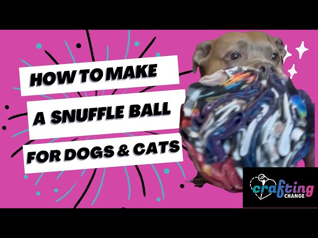 How to make a DIY snuffle ball 