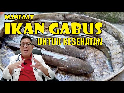 Video: Di manakah membran sinovial ditemui dan apakah peranannya?