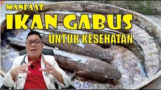 BENEFITS OF SNAKEFISH FOR HEALTH