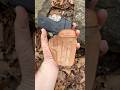 Cold weather carry: P225-A1 in a Galco Royal Guard IWB leather holster #glock #2astrong #pewpew #sig