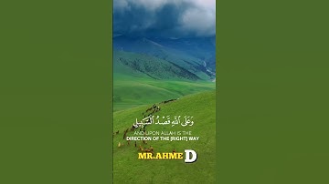 #قرآن #تلاوات_خاشعة