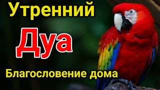 Утренний Дуа. Дуа Каждое Утро