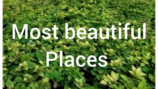 beautiful places in the world|Top most beautiful by irfan in Dubai 31 views 2 months ago 1 minute, 19 seconds