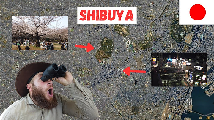 SHIBUYA : le quartier de la nuit (et des sakuras) - VISITE DE TOKYO #4
