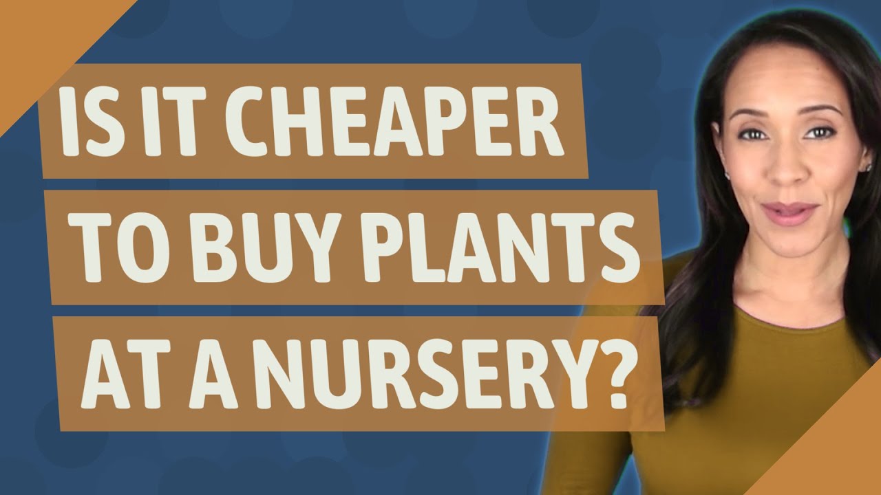 Is it cheaper to buy plants at a nursery? YouTube