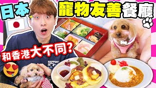 【被毛孩療癒了🥰】日本Pet Friendly餐廳用餐🐶和香港🇭🇰大不同？真正的寵物友善共融✨怪叔叔又來了😍｜波子大阪遊BOsaka(中文字幕)