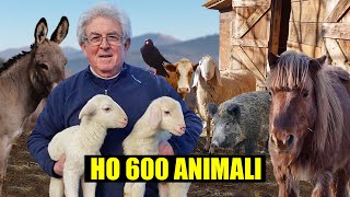 L'UOMO che VIVE con 600 ANIMALI - thepillow screenshot 4