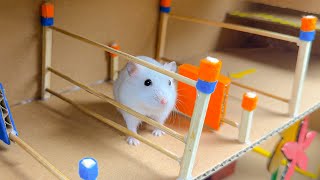  Hamster Escapes from the Most Amazing Mazes - The Best Hamster Challenges  @hamstersophie