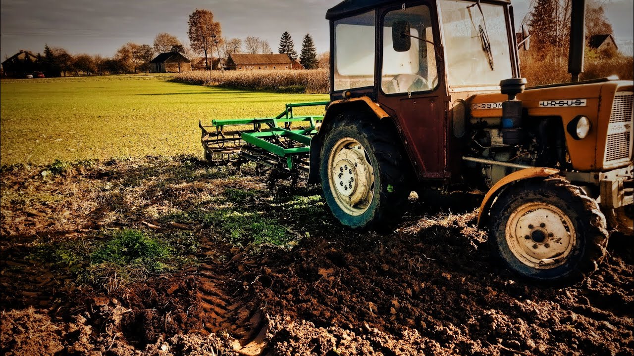 Pełnometrażowy film z sadzenia czosnku 🧄. Uprawa, zaprawianie i sadzenie 🚜🌾. C330M na dwa koła. #8