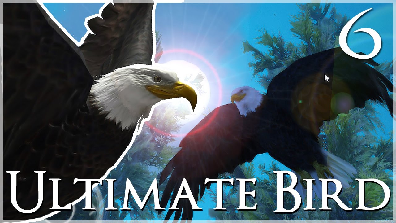 roblox-bird-simulator-hummingbird-how-to-get-unlimited-free-robux-promo-codes-live