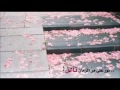نور على مر الزمان تألقا ياحافظ القرآن أنصحكم تسمعوها نور على مر الزمان تألقا ياحافظ القرآن أنصحكم تسمعوها