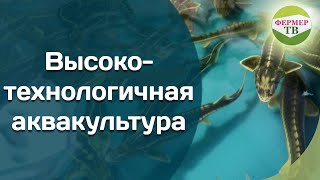 Высокотехнологичная аквакультура