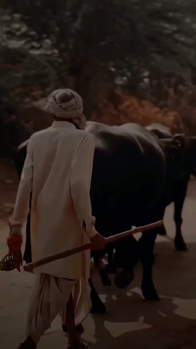 roots song lofi || roots slowed reverb || roots song #song #punjabi #music #youtube