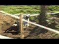 Enduro GP  Brioude  2024