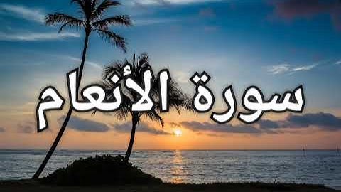 سورة الأنعام| القارئ شريف مصطفى