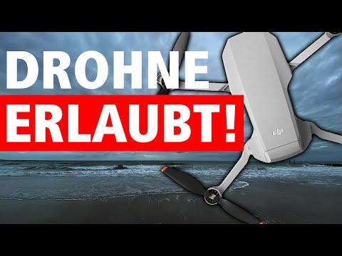 Video: Wie Eine Drohne Namens SnotBot Zu Einem Game Changer Im Walschutz Wurde