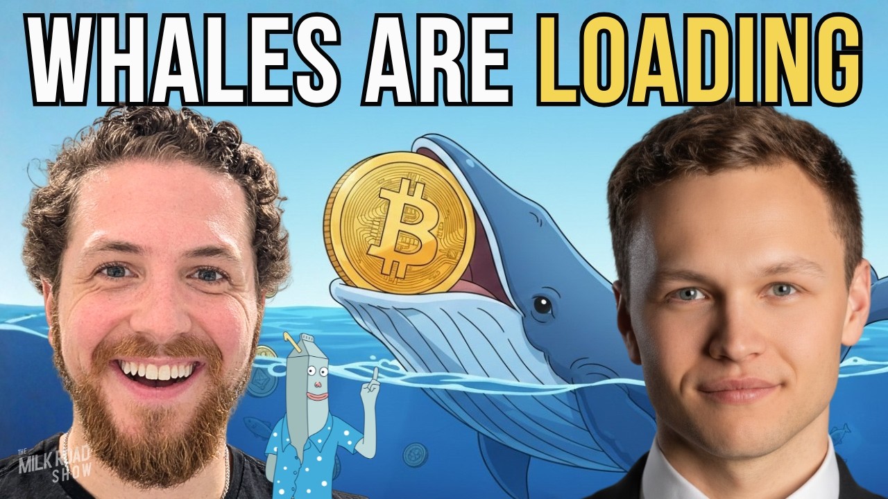 Биткоин падает… Но институциональный спрос растёт (Остин Рид)