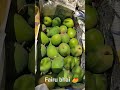 Fairu bhai Tumkur 🥭Badam top quality location Tumkur AF mandi
