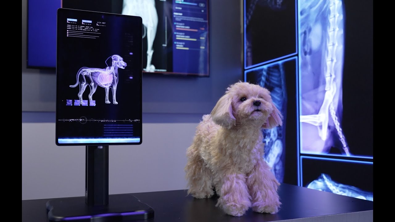 CES 2025 Highlights: AI, Digital Health, Mobility & Future Tech ...