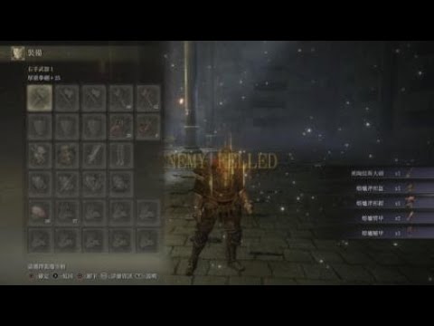 ELDEN RING 拳劍 雙熔爐騎士 無盾反