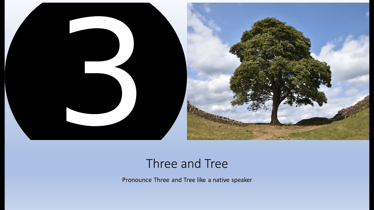 Three and Tree - YouTube