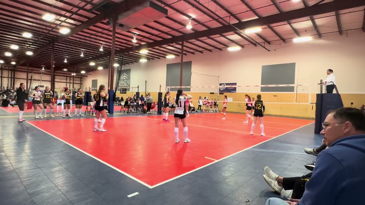 WWVA vs ATTACK 17 Set 2