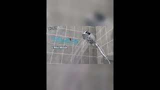 2639-New 8 settings spray modes high pressure on off button press handheld shower head set