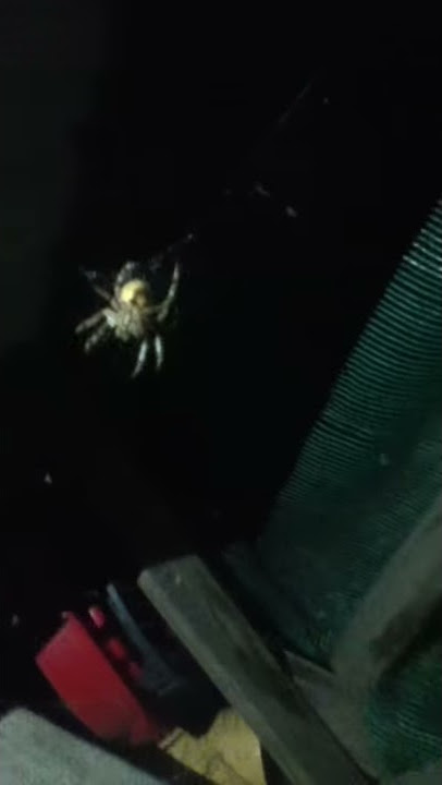 big ass mother fucker