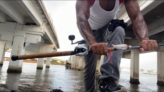 Bridge Fishing For Snook First Cast Thump On Jig