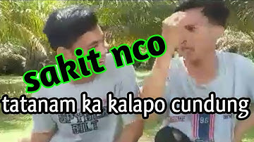 #trending Tatanam Kalapo Cundung