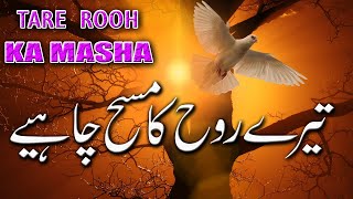 Tere Rooh Ka Masha Chahiye || New Masih Geet || Wasim Iqbal || Live Cover