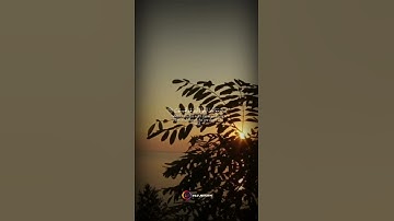 واصبر وما صبرك إلا بالله  💛💛 حالات أنستا |ستوريات أنستا | تلاوة هادئة وخاشعة 💕💕