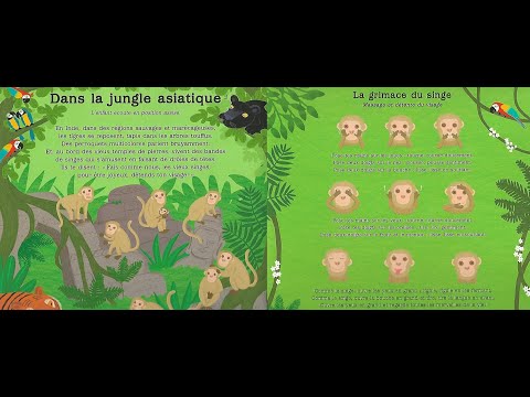 Yoga Les Grimaces Du Singe