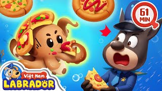 🍕 Siêu trộm bánh pizza 👮 Cảnh sát trưởng Labrador Vietnam 🚔