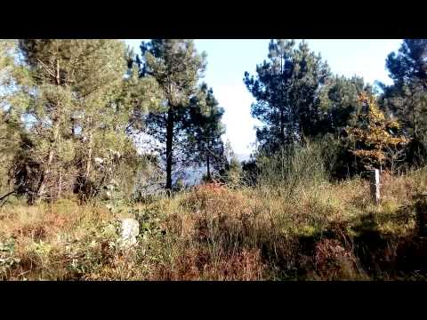 Terreno de Pinhal, Vila Fonche, Arcos de Valdevez