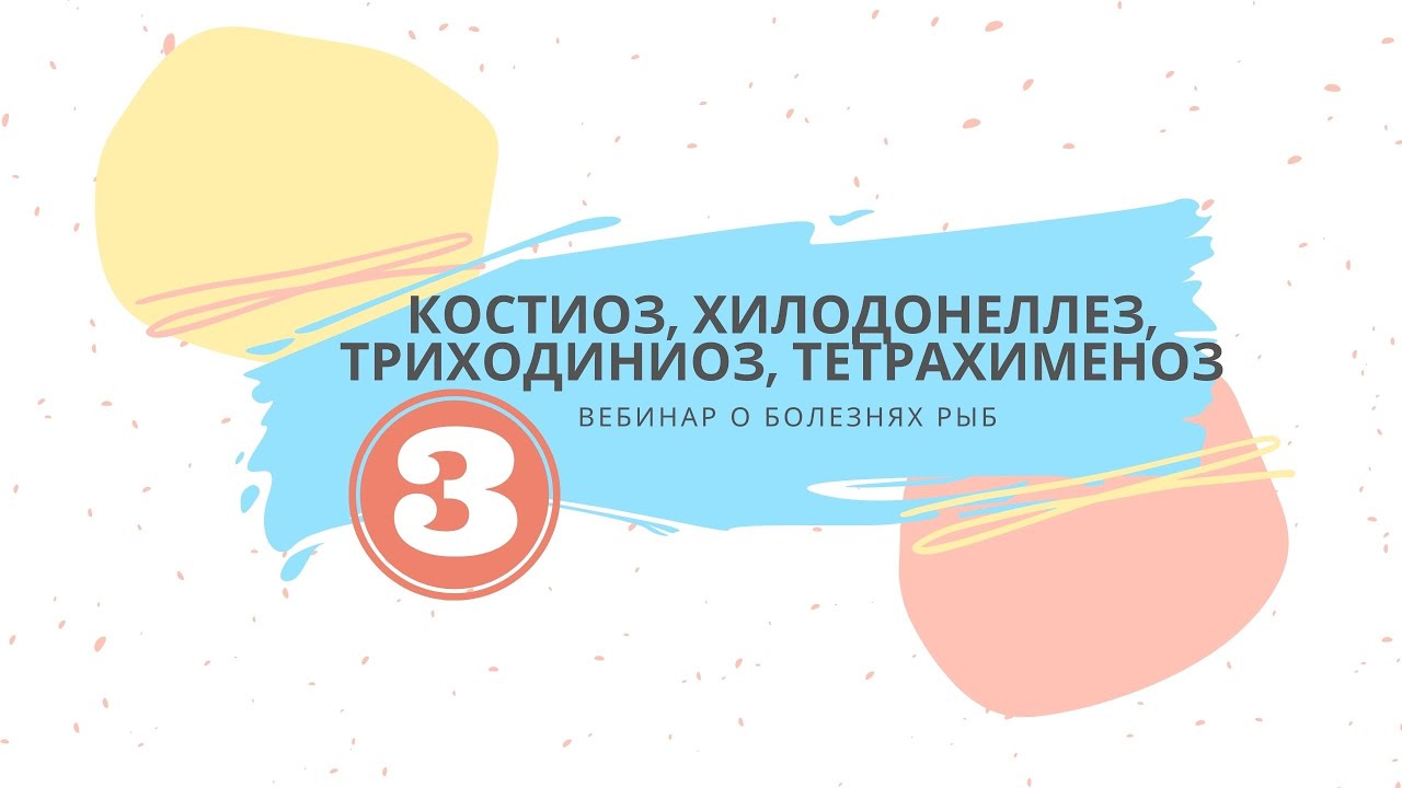 Вебинар №3 о болезнях рыб